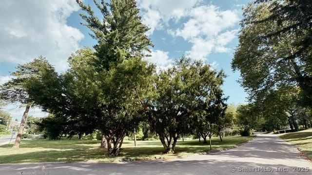 89 Richmond Hill Rd - Photo 3 of 17