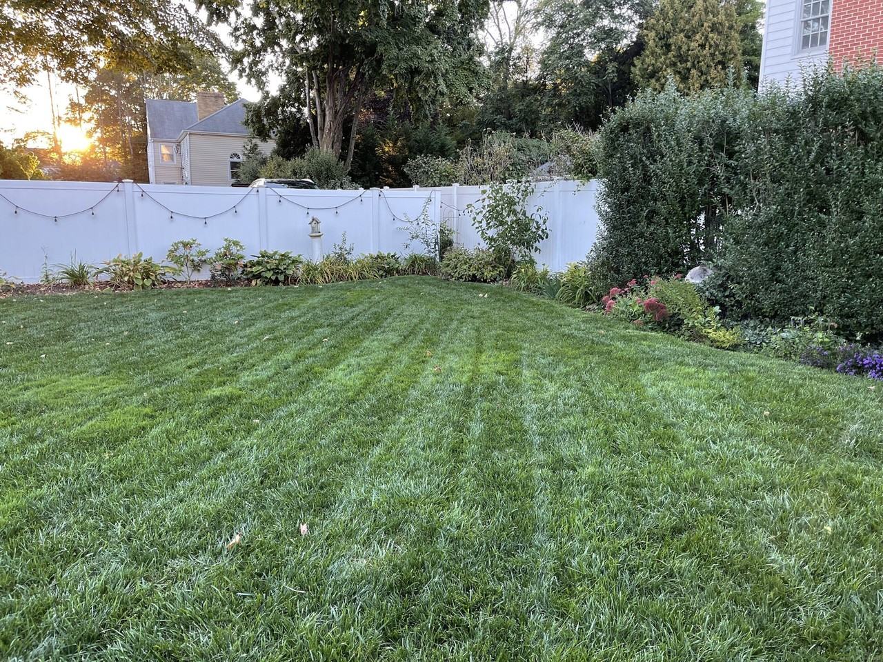 126 East Ave - Photo 2 of 14