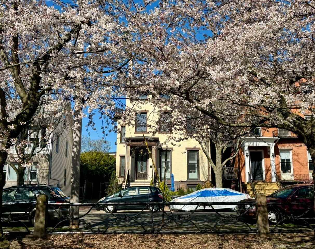 38 Academy St Unit 1 #1 - Photo 2 of 39