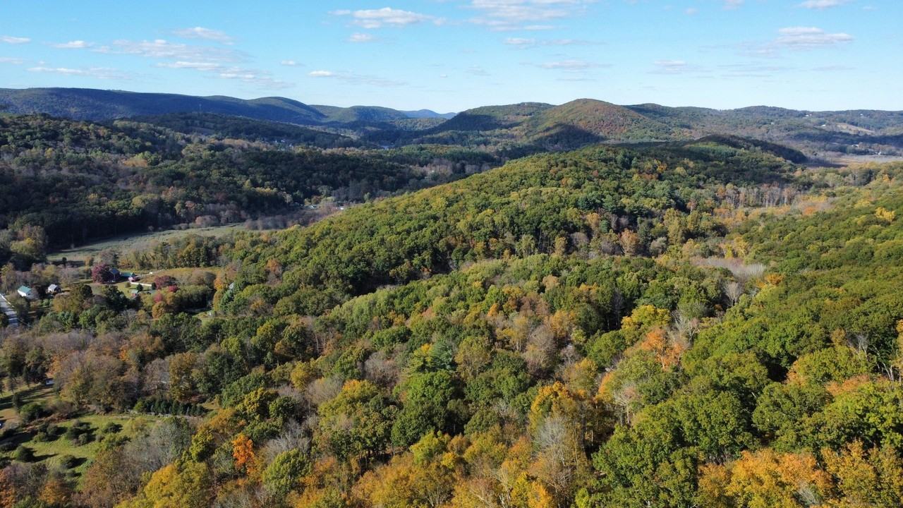 570 Long Mountain Rd - Photo 3 of 30