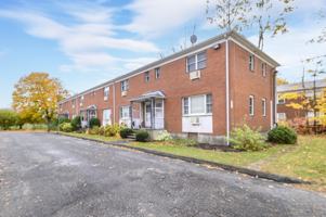 featured image of 922 Shippan Ave Apt 1 #1