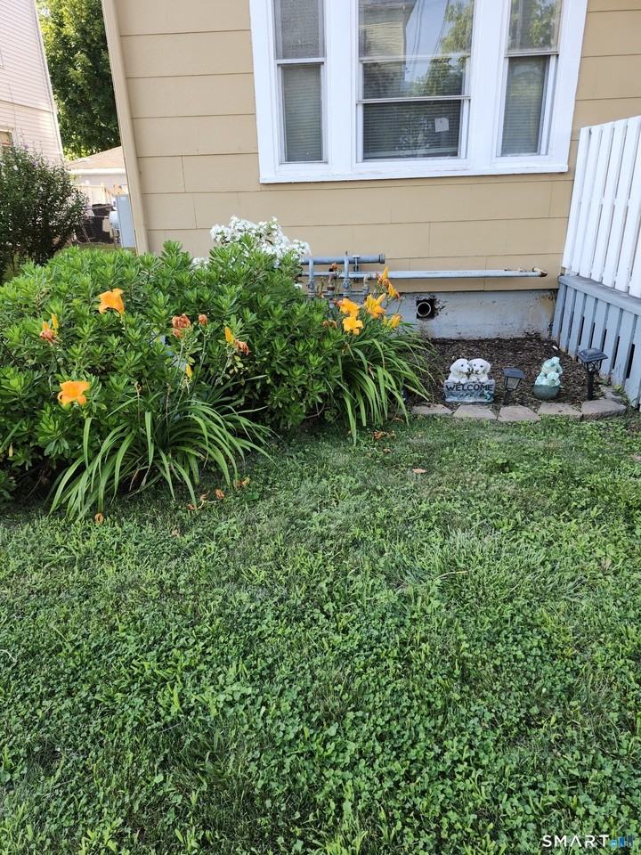 232 Kelsey St Apt 1 #1 - Photo 3 of 19