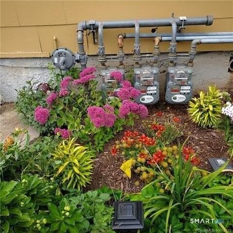 232 Kelsey St Apt 1 #1 - Photo 5 of 19