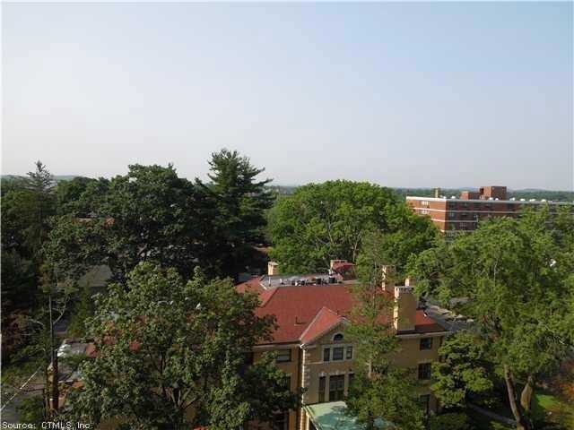 30 Woodland St Apt 9 #9P - Photo 7 of 15