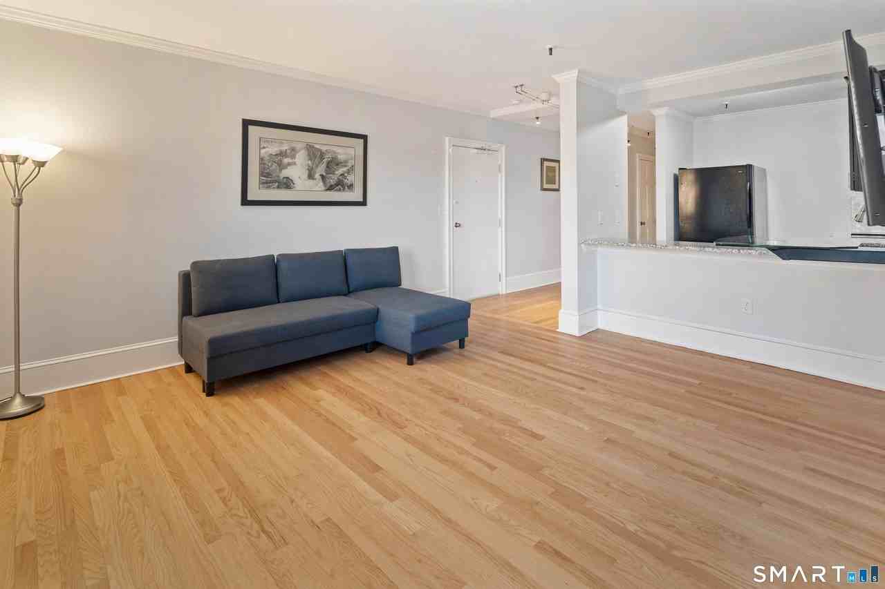 32 Haviland St Unit 308 #308 - Photo 3 of 19