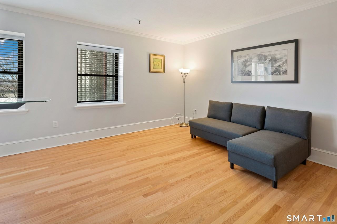 32 Haviland St Unit 308 #308 - Photo 4 of 19