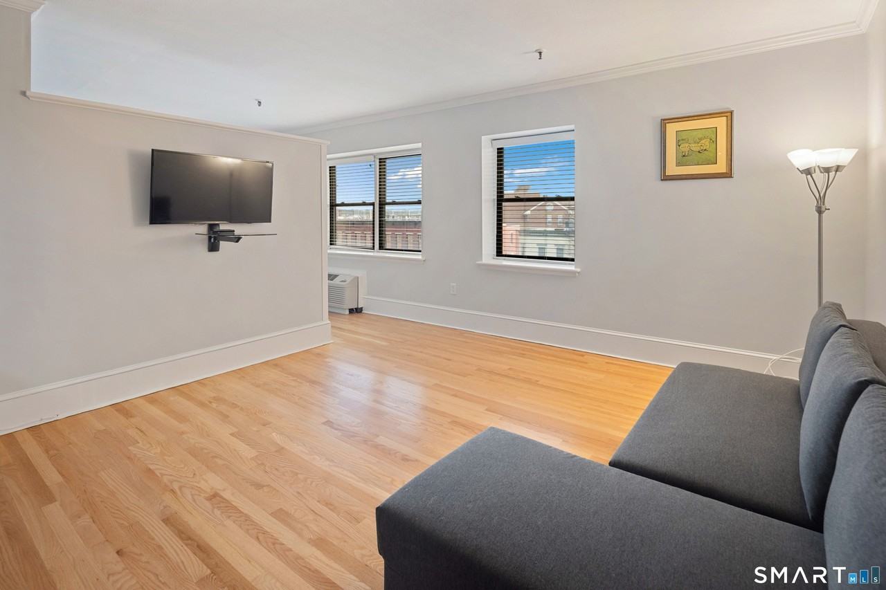 32 Haviland St Unit 308 #308 - Photo 5 of 19