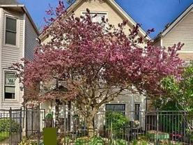 3745 N Seminary Ave Unit 1 #1 - Photo 1 of 1