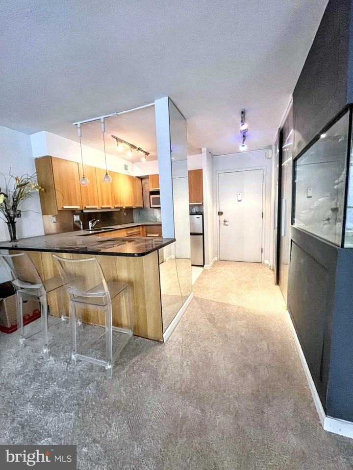 226 W Rittenhouse Sq Apt 1718 #1718 - Photo 6 of 23