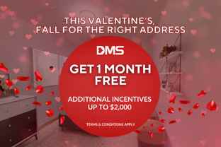 11 Catford - Photo 1 of 1