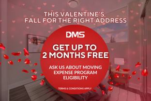 Blue Forest Apartments - Photo 1 of 1