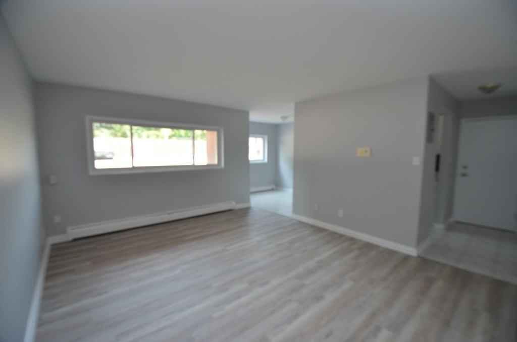 567 Ontario Street #3 - Photo 3 of 14