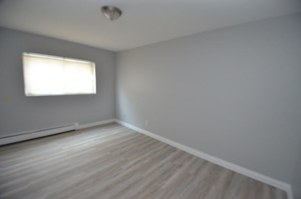 567 Ontario Street #3 - Photo 4 of 14