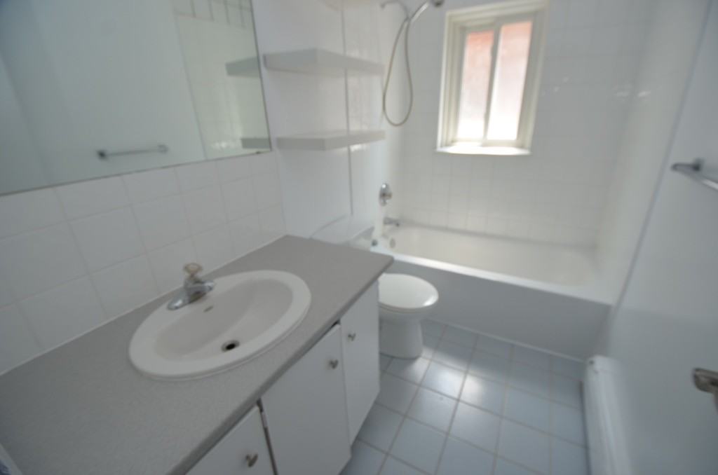 567 Ontario Street #3 - Photo 6 of 14