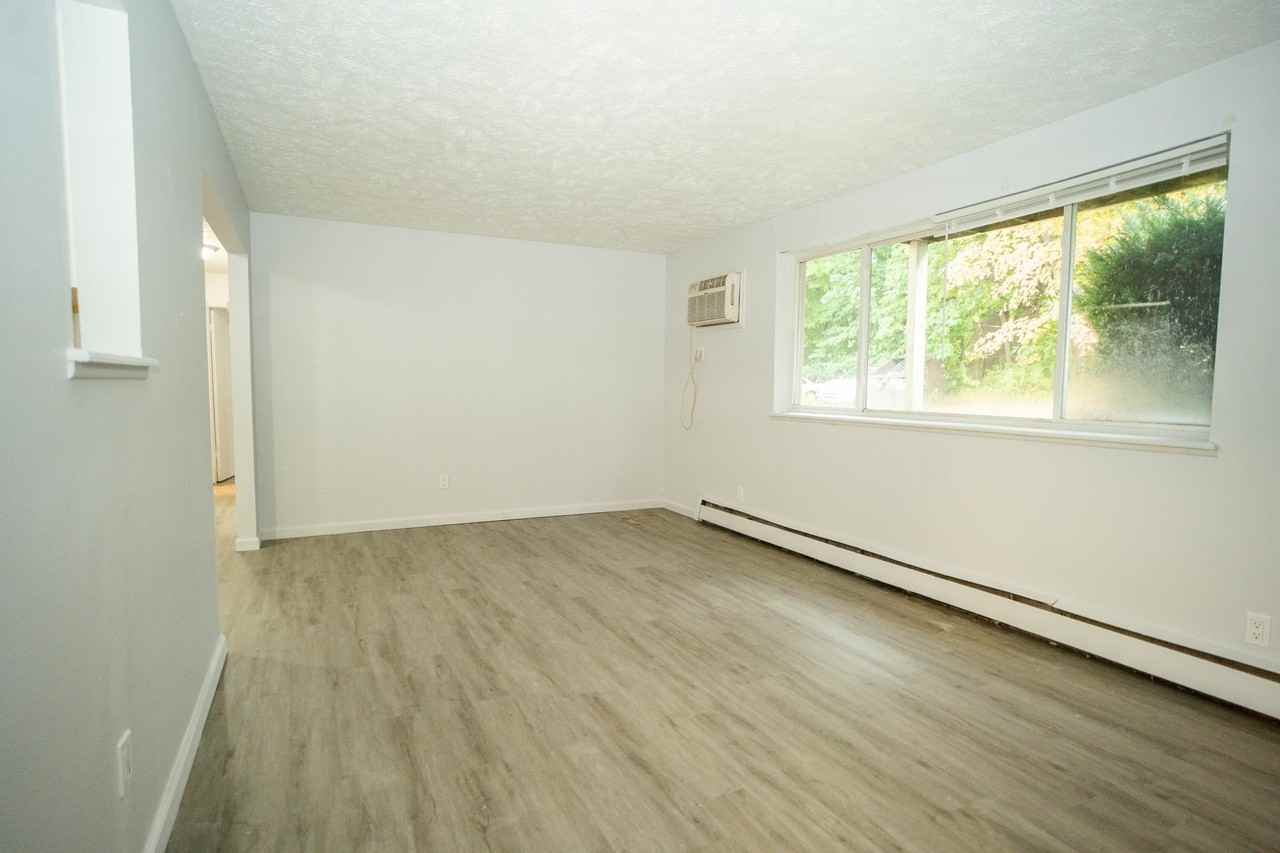 Chestnut Flatz - Photo 6 of 11