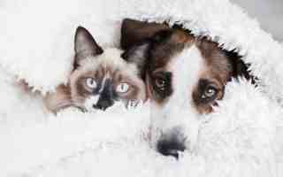 featured image of 104 Whispering Brook Dr