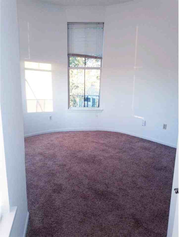 Gilbert - Photo 5 of 10