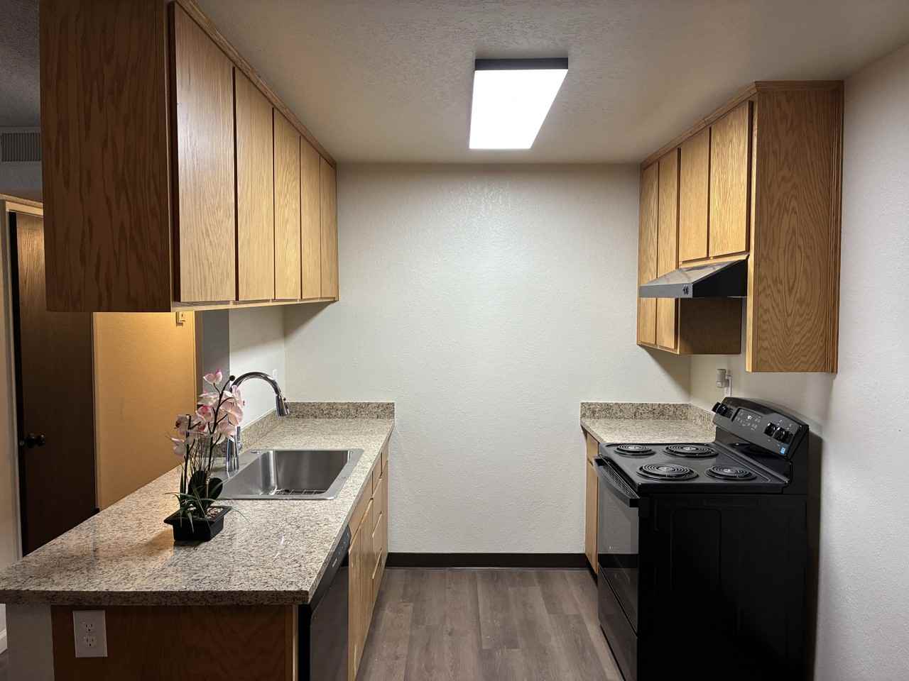 4100 Fara Biundo Drive - Photo 5 of 12