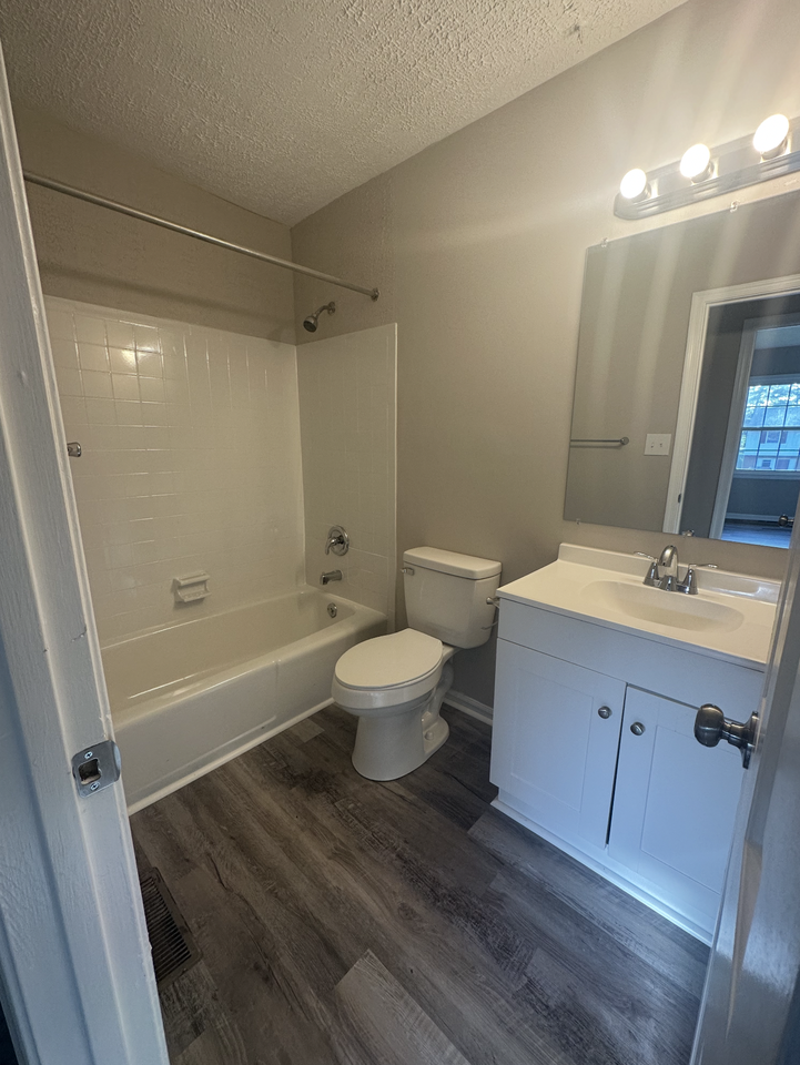 12004 Branchwater Street - Photo 3 of 10