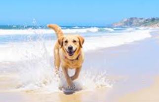 165 Boracay Cir - Photo 1 of 1