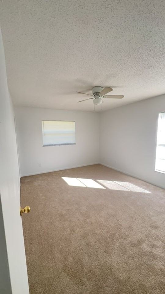356 23rd Ave - Photo 2 of 6