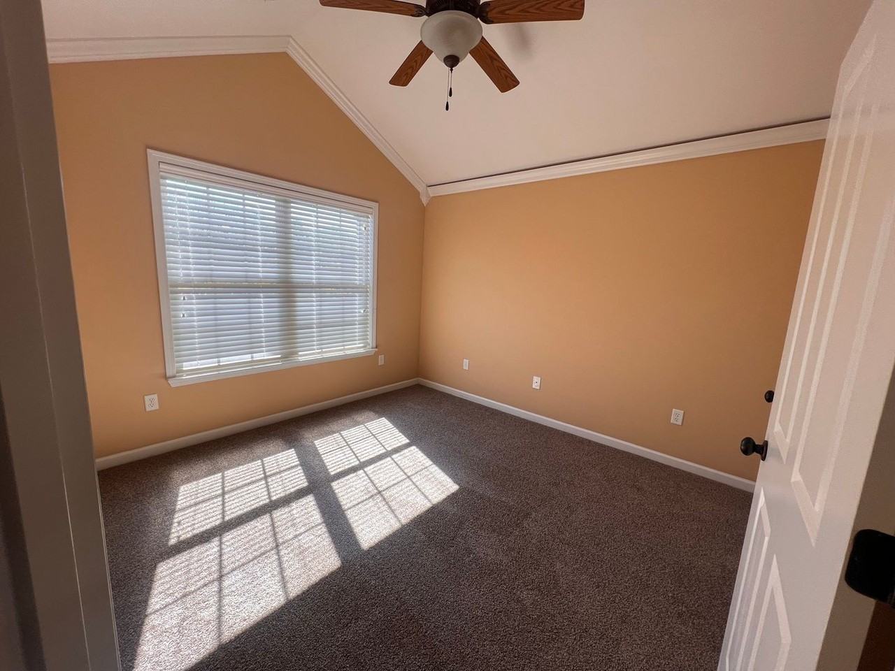 3110 Alumni Ln - Photo 6 of 15