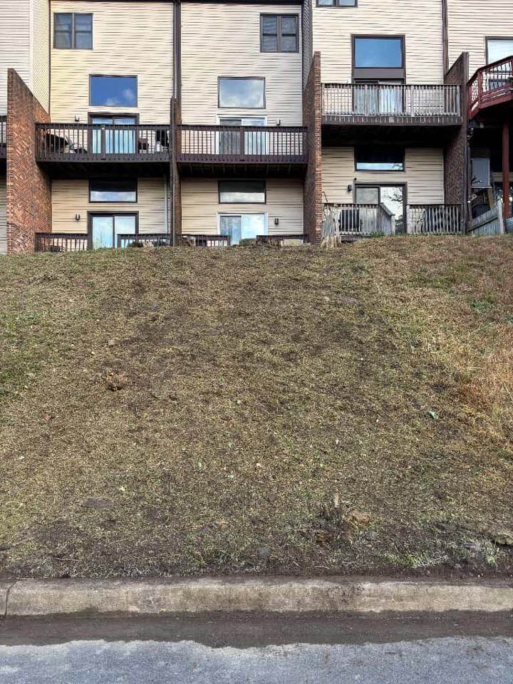 3226 Brookline Rd #3226 - Photo 3 of 24