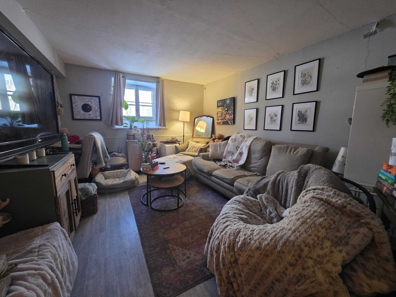 134 Earl St #1 - Photo 2 of 8