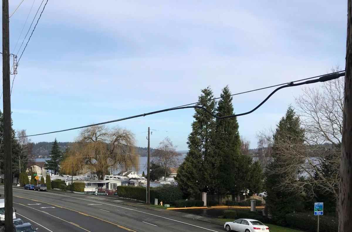 11441 Rainier Ave S #3C - Photo 3 of 12