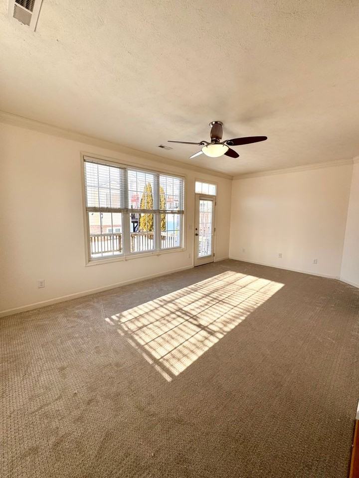 1434 Mountain Springs Ln - Photo 2 of 19