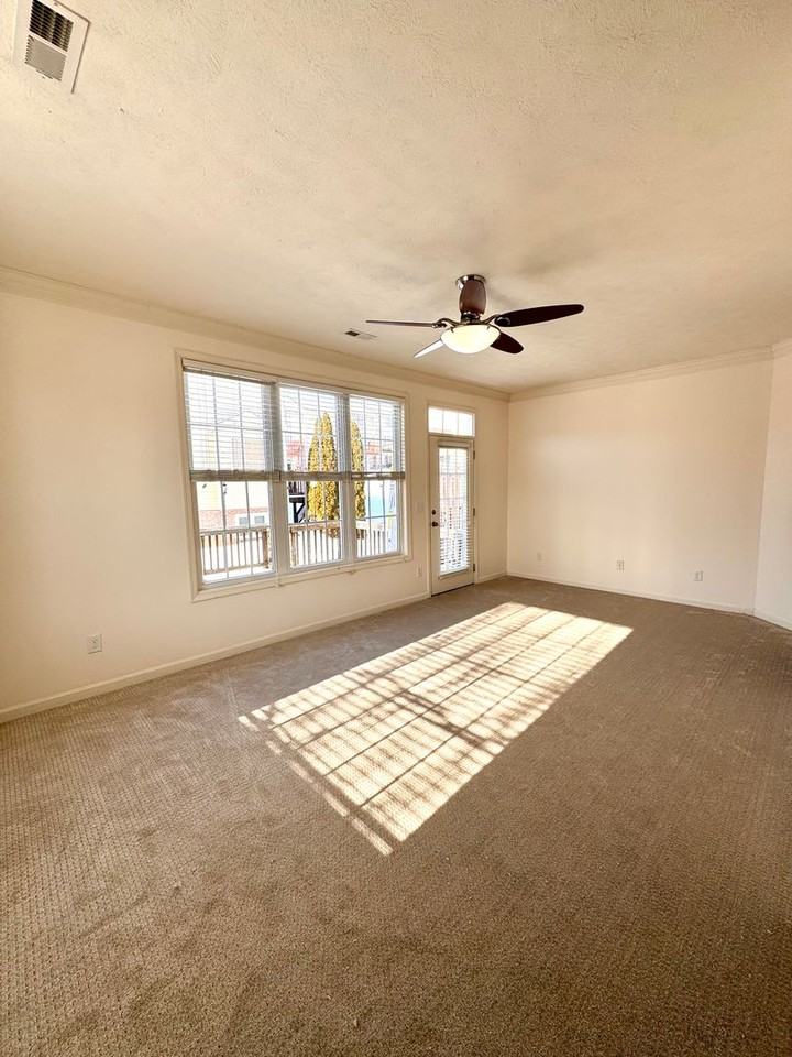 1434 Mountain Springs Ln - Photo 3 of 19