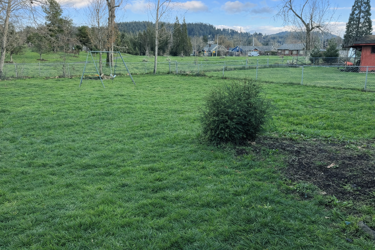 2965 Ferry St - Photo 5 of 25