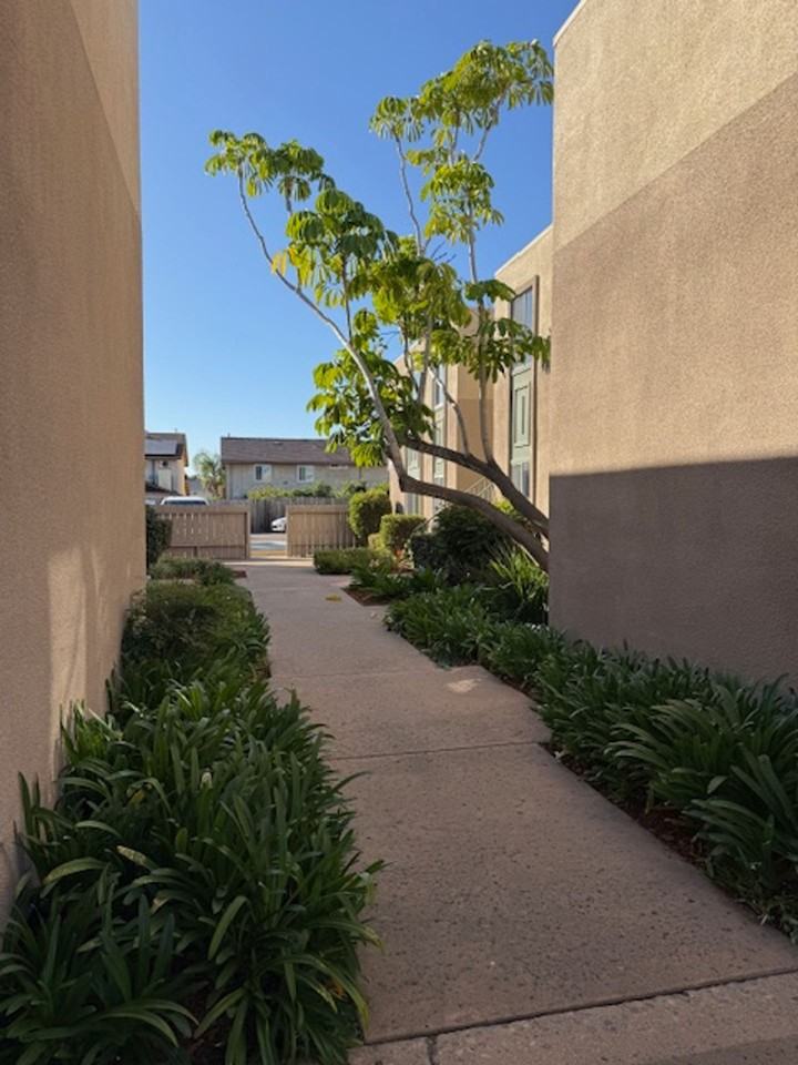 Large 2 bedroom Apartment in Clairemont - Photo 5 of 11