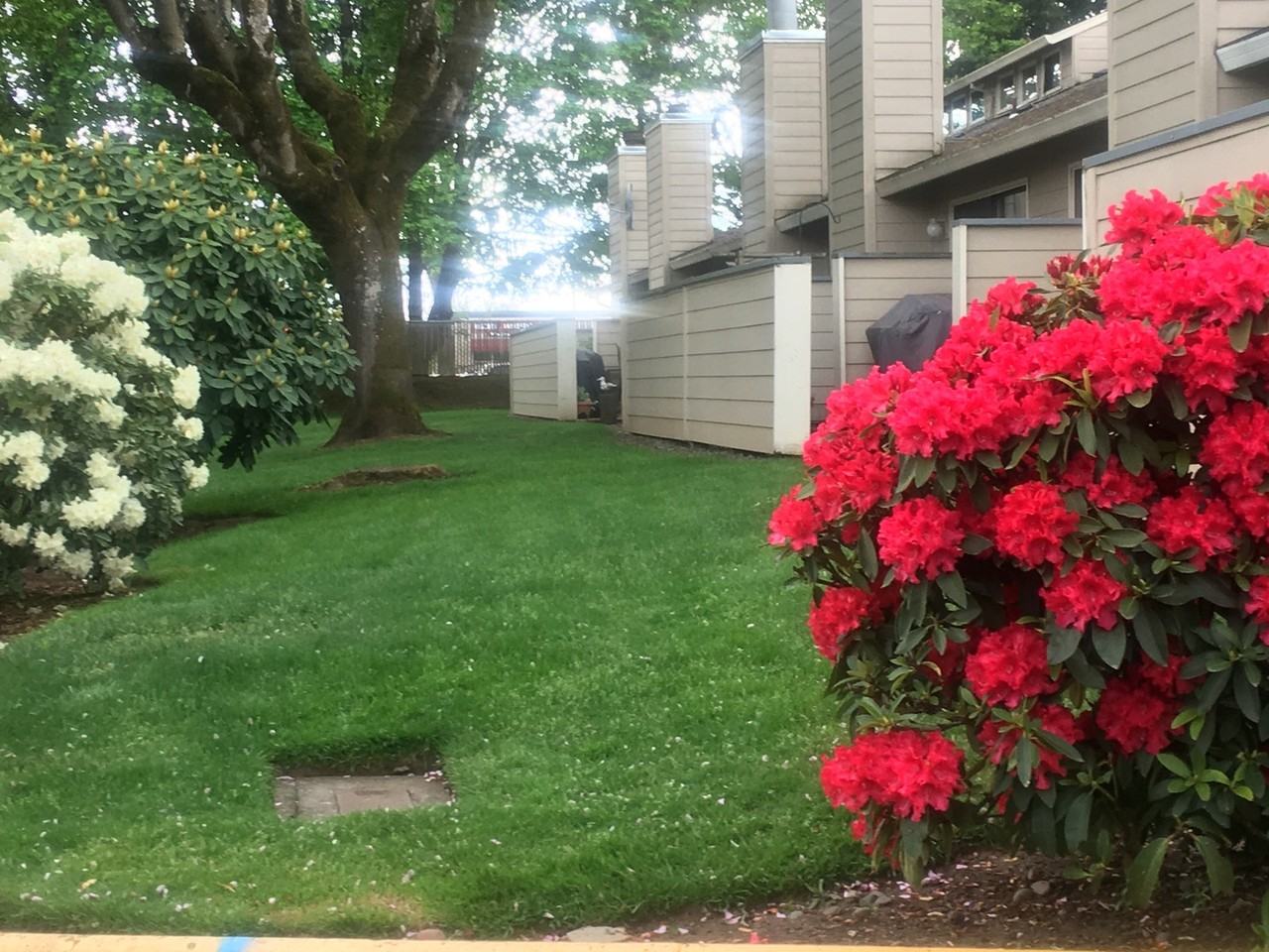 8604 Ne Mason Dr #13 - Photo 4 of 22