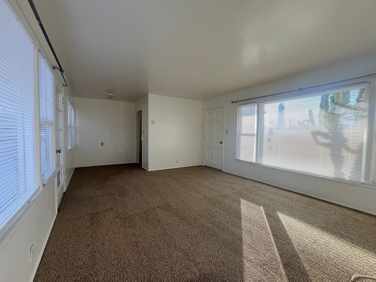 911 Park Ave - Photo 4 of 19