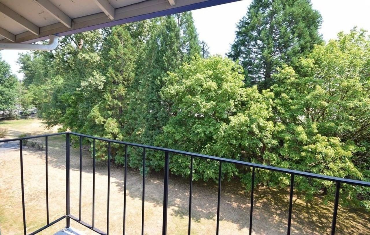 10010 Sw Hall Blvd #11 - Photo 7 of 15