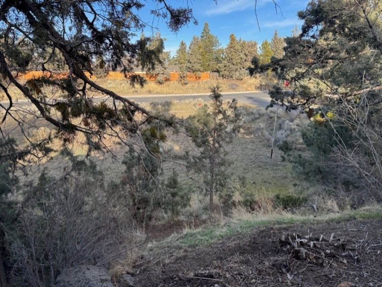 20625 Whitewing Ct - Photo 6 of 17