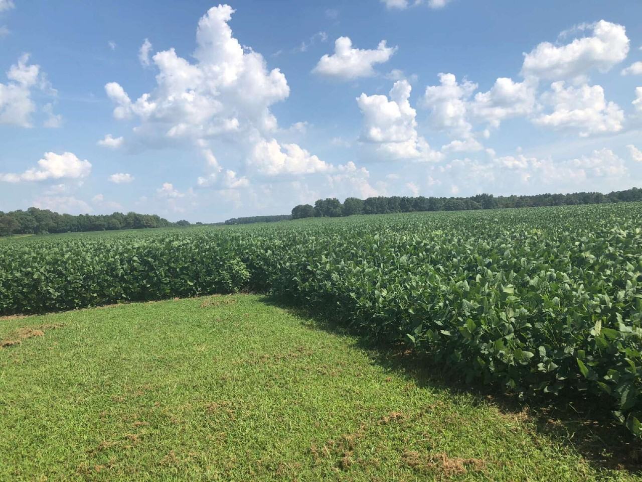 4390-B Us Highway 117 N - Photo 5 of 27