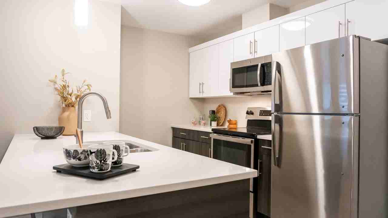 Luna at Aurora - Photo 6 of 37