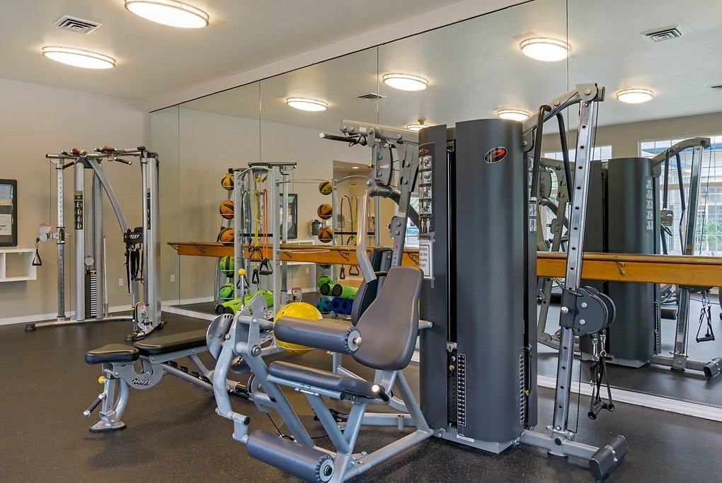 Forestview - Photo 4 of 36