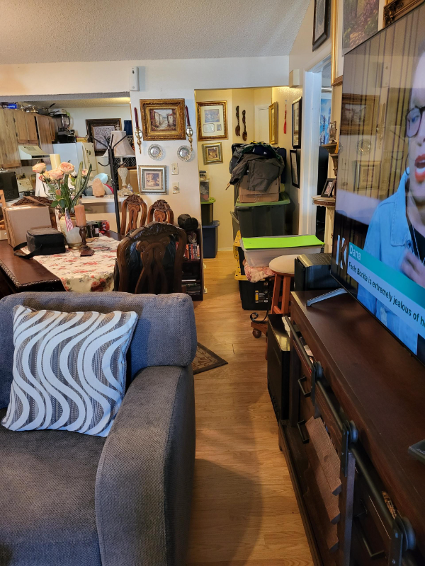 403 Cedar Ridge Ct - Photo 4 of 20