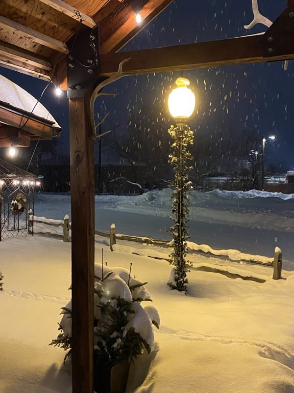 541 Cannon St - Photo 3 of 19