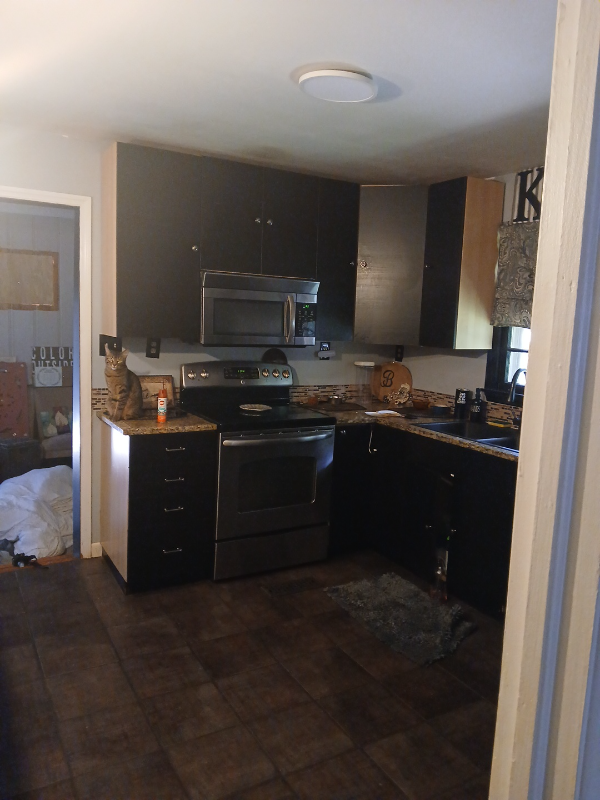 5 Martin St - Photo 7 of 16