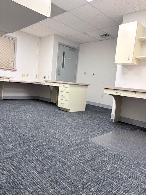 100 Christy Park Dr - Photo 3 of 14