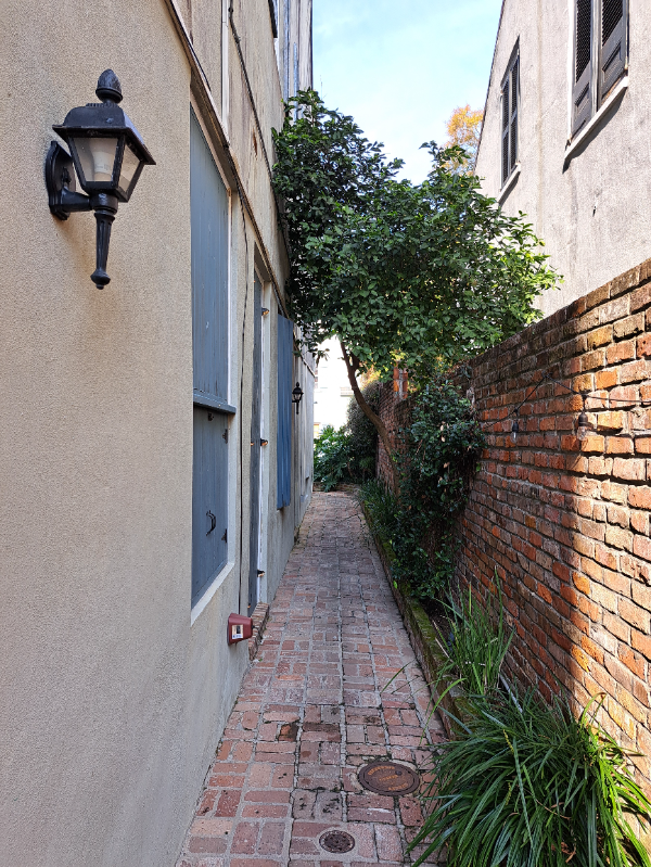 617 Dauphine St #9 - Photo 2 of 20