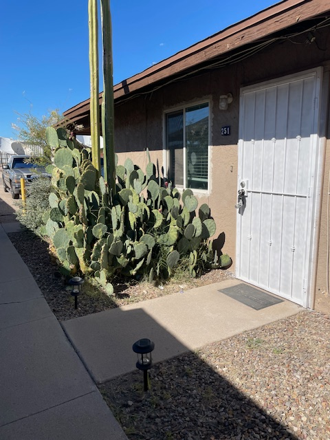 253 W Lee St #253 - Photo 2 of 10