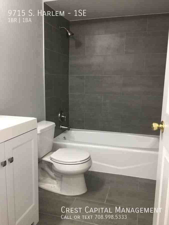 9715 S Harlem Ave #3SE - Photo 6 of 7