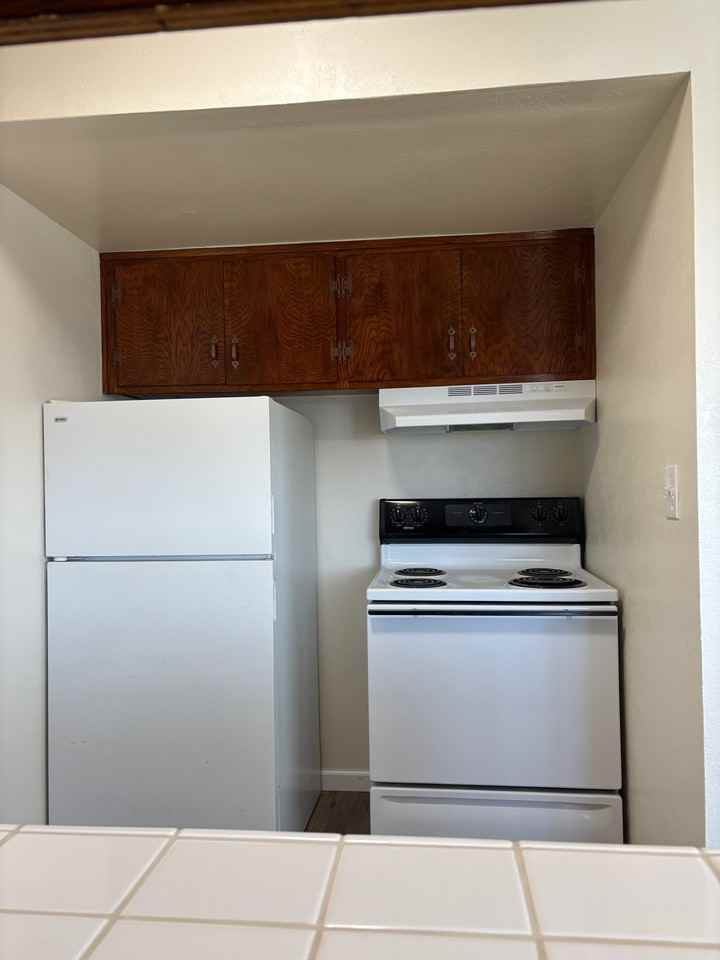 1255 Circle Avenue - Photo 7 of 14