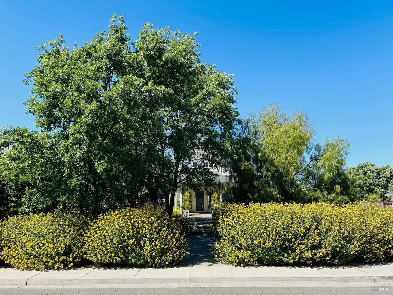 230 Newcomb St - Photo 5 of 38