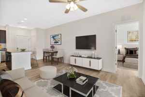 featured image of 280 Salmon Brook St Unit 7206 #7206